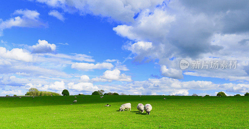 英国的风景