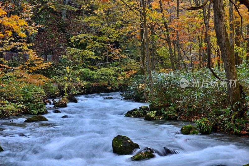 日本青森市秋天的磐濑山溪