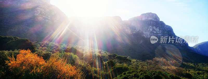 Kirstenbosch花园全景与阳光