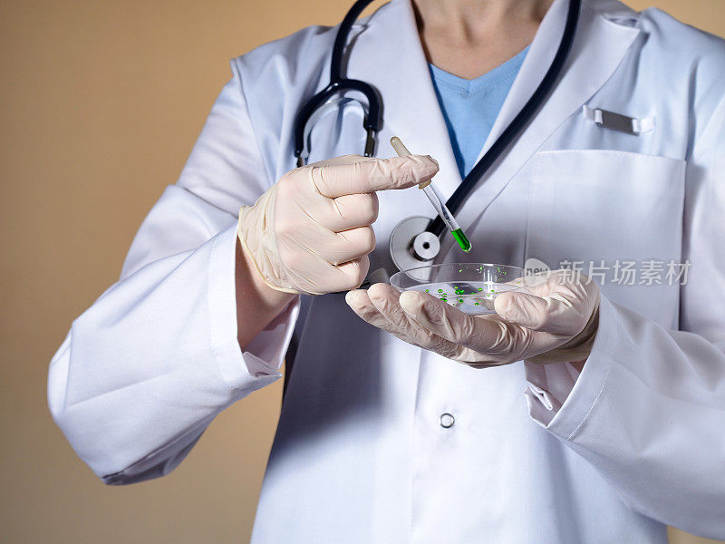 一位女医生手里拿着一个培养皿。一个米色背景上带着听诊器的女医生拿着一个培养皿。
