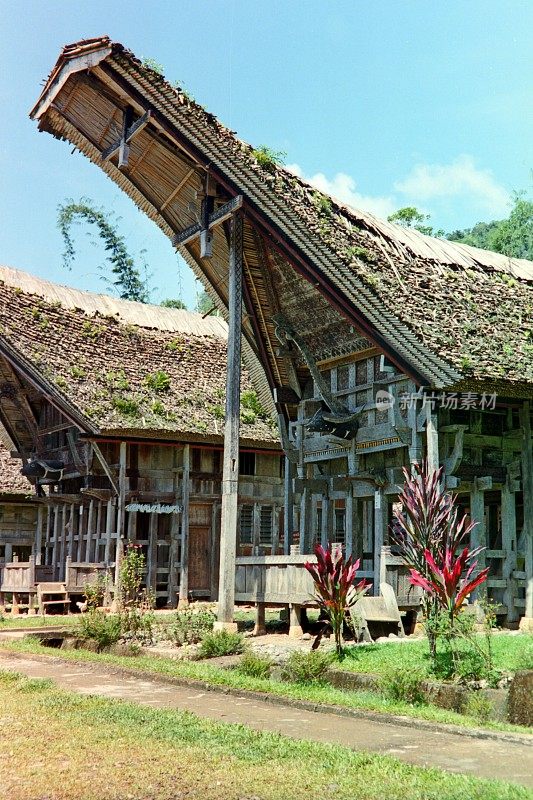 年代。传统村落和民居建筑。印度尼西亚苏拉威西岛的塔纳托拉贾。