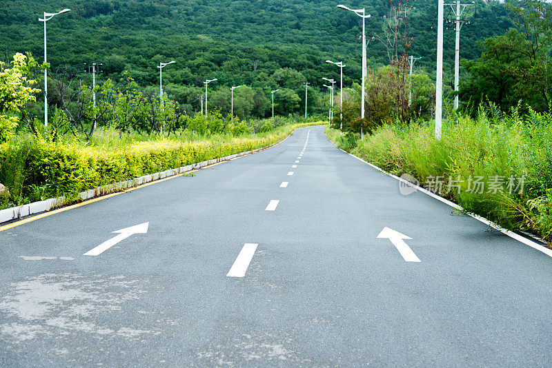 绿色森林里的乡间小路