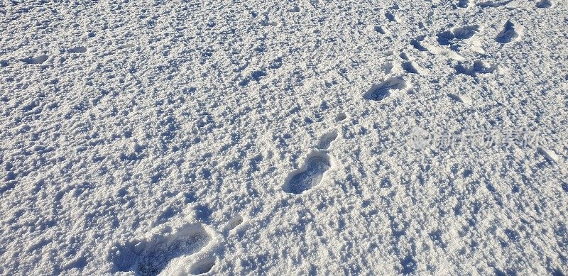 脚步在雪地