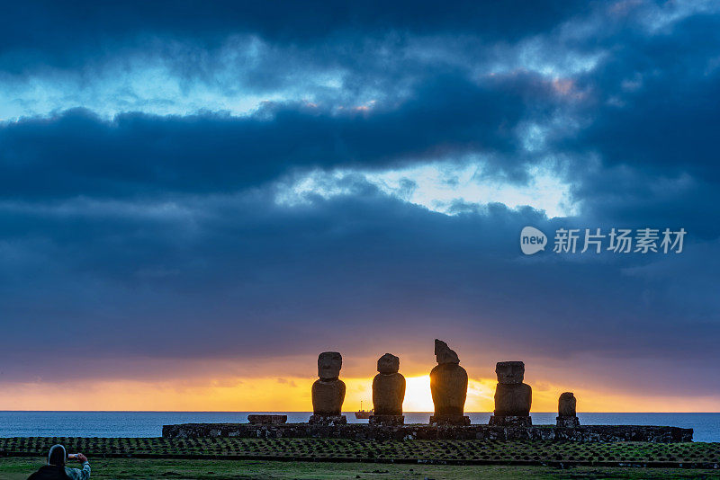 黄昏在恐鸟