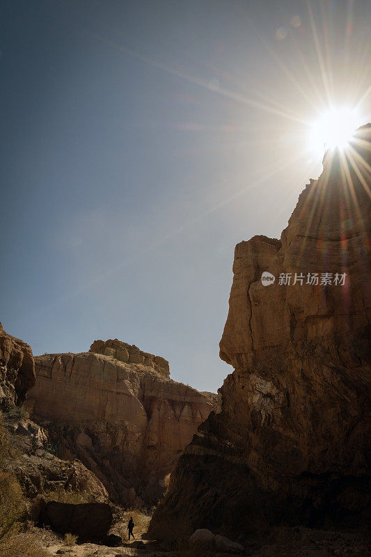 在科切拉山谷棕榈泉附近徒步旅行