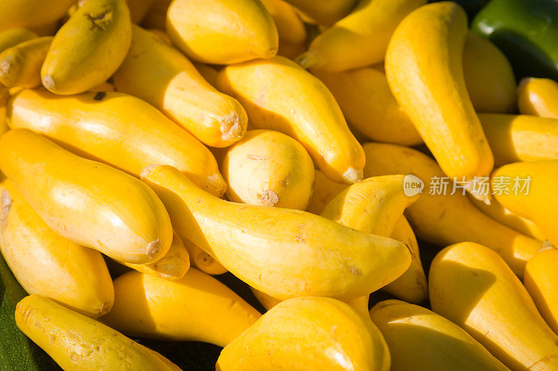 新鲜的黄南瓜在农贸市场展出