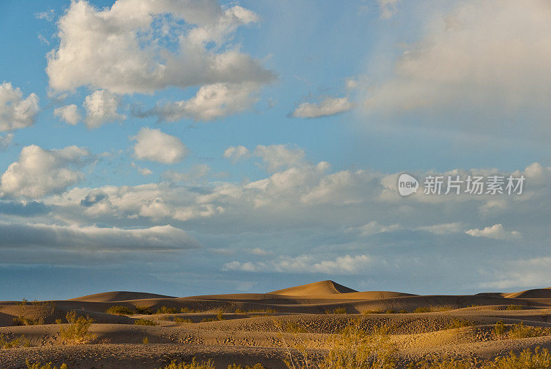 牧豆树平原沙丘在日落