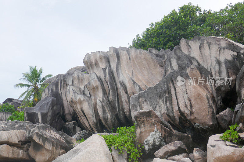 大安西岛，拉迪格岛，塞舌尔岛