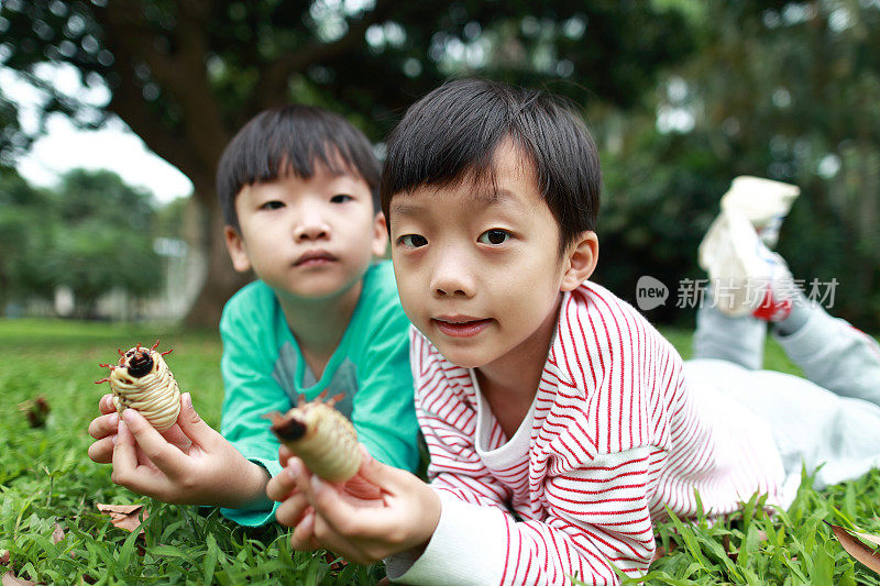 孩子有一只甲虫