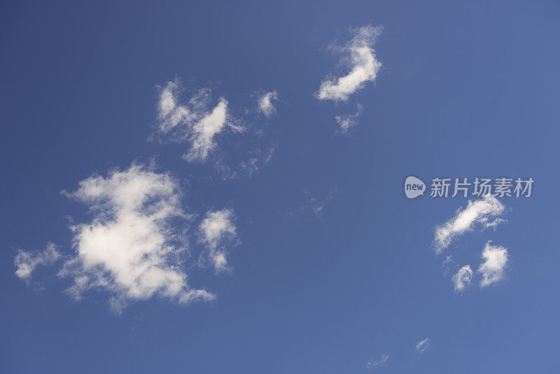 小的，蓬松的高积云在晴朗的蓝天下