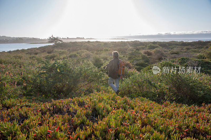 日出时，徒步旅行者穿过灌木丛走向海岸线