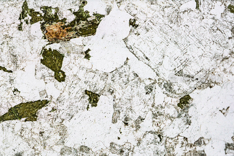 花岗闪长岩矿物显微镜下的载玻片
