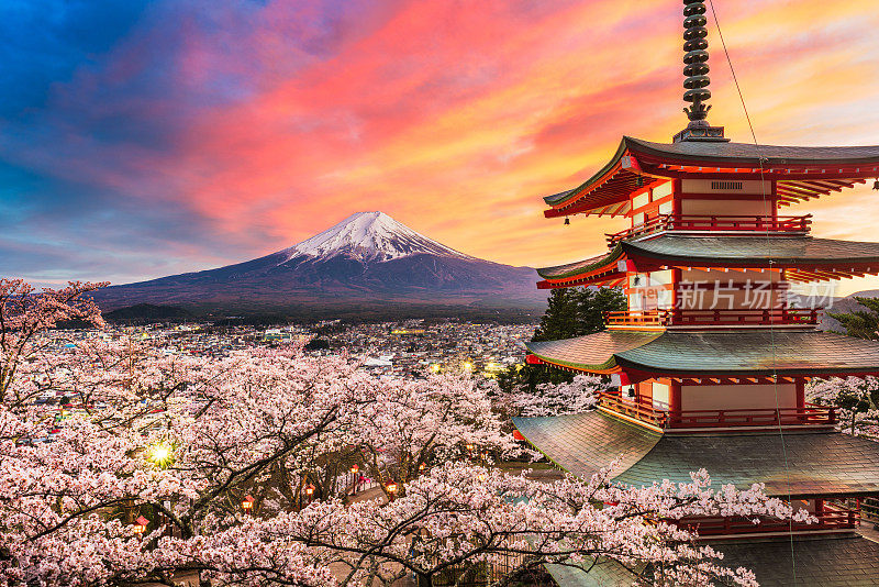 日本富士吉田的Chureito宝塔和富士山上盛开的樱花。