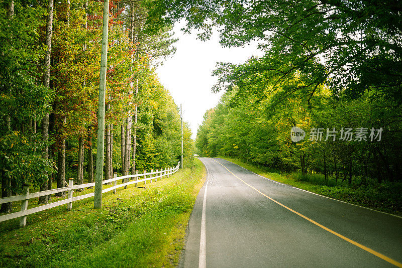 风景优美的道路与秋天的颜色