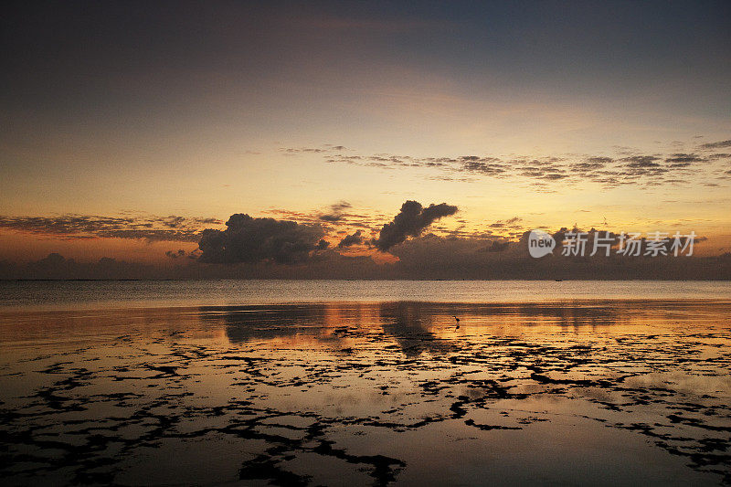黎明时分，坦桑尼亚桑给巴尔海岸外的印度洋