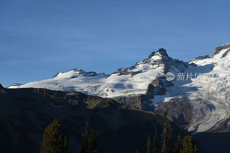 雷尼尔火山的斜坡