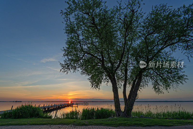 雄伟的日落湖上柳树的剪影