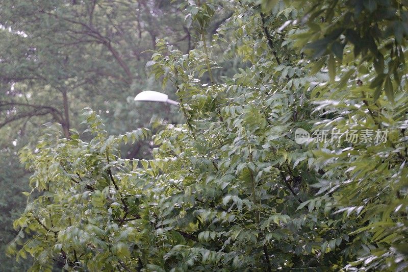 在下雨的一天