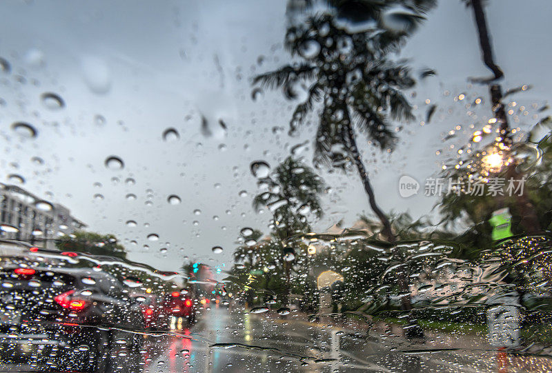 热带雨