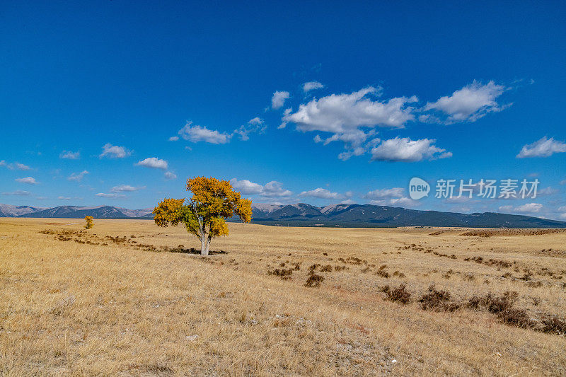 秋景非常乡村的蒙大拿牧场草原