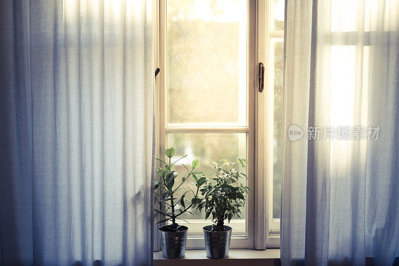 公寓里的窗户，花盆里的花