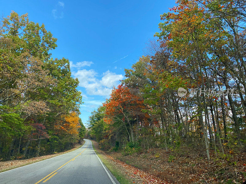开车穿过田纳西州诺克斯维尔的秋叶