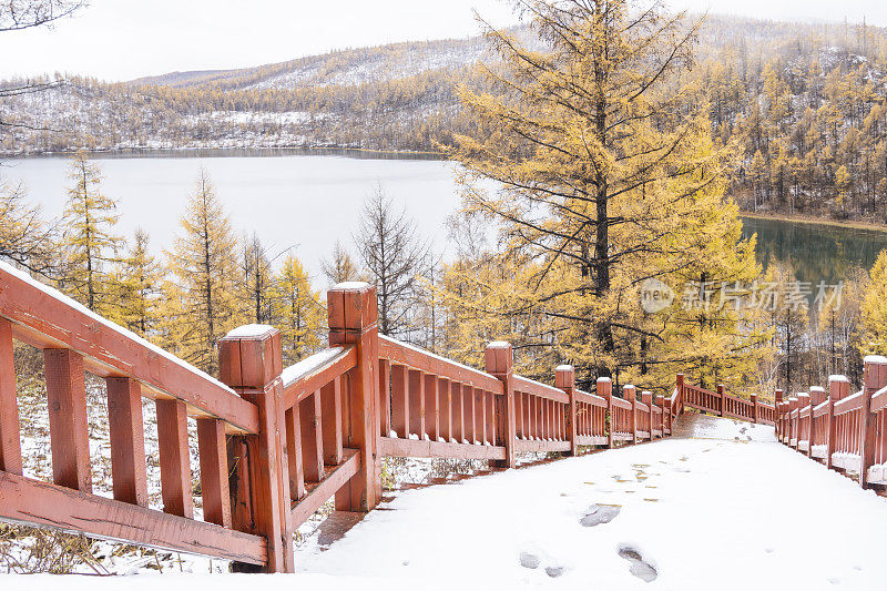 湖边树林里的木质楼梯上覆盖着积雪和脚印