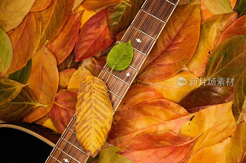 秋叶时节伴着音乐