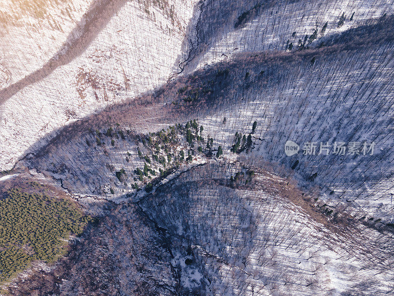 冬季的空中飞行在白雪覆盖的林地上。在山上滑雪度假。