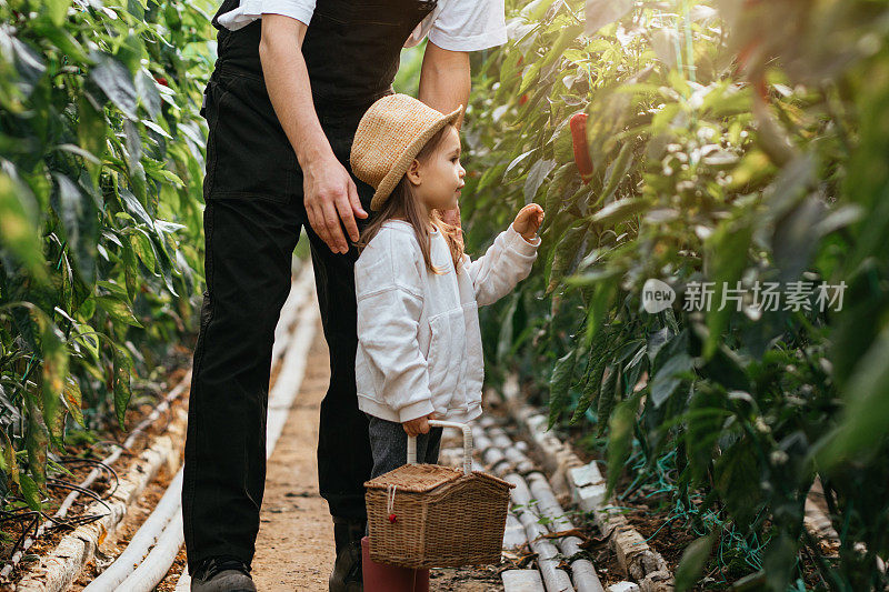 年轻的父亲和女儿在温室里