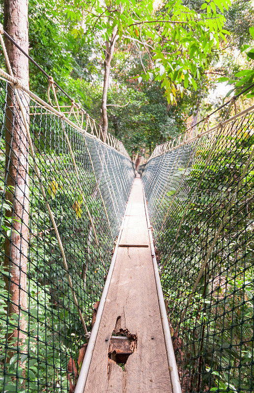 受损的热带雨林索桥——不适用于眩晕患者