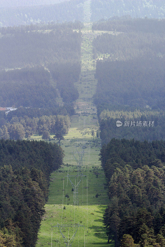 高压电线砍伐森林