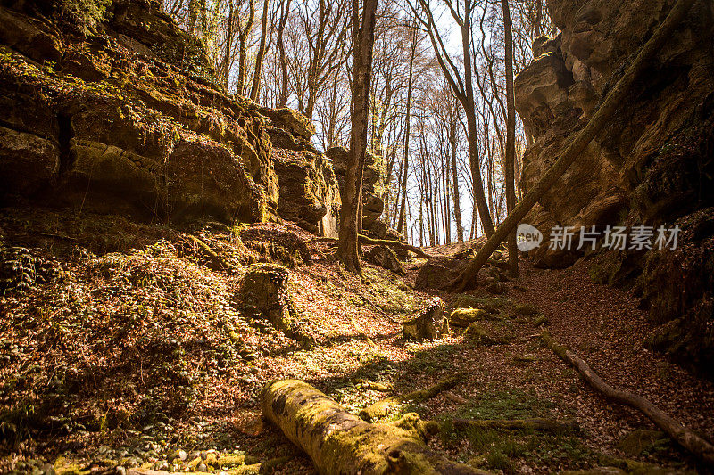 美丽的卢森堡乡村风景