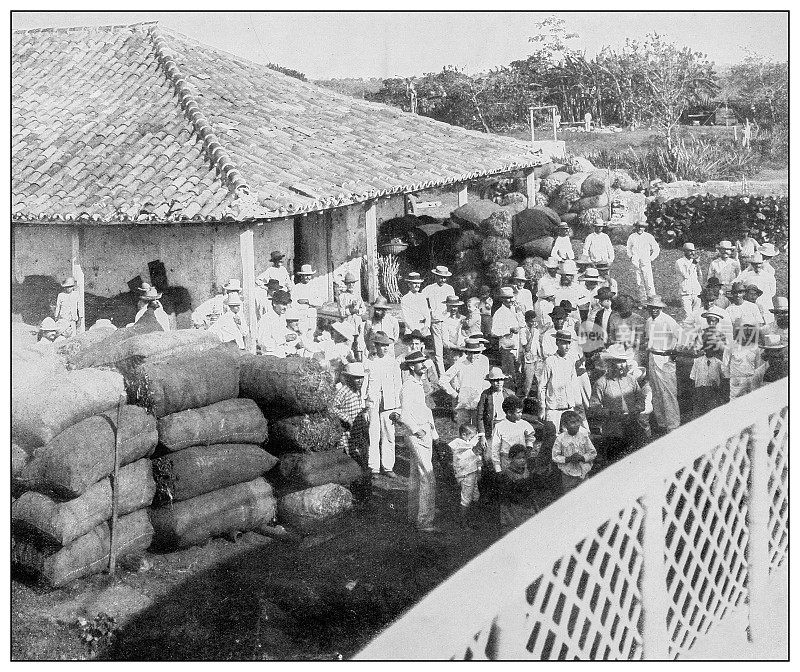 古色古香的黑白照片:新赫罗纳岛(原名松林岛)船坞上的人们
