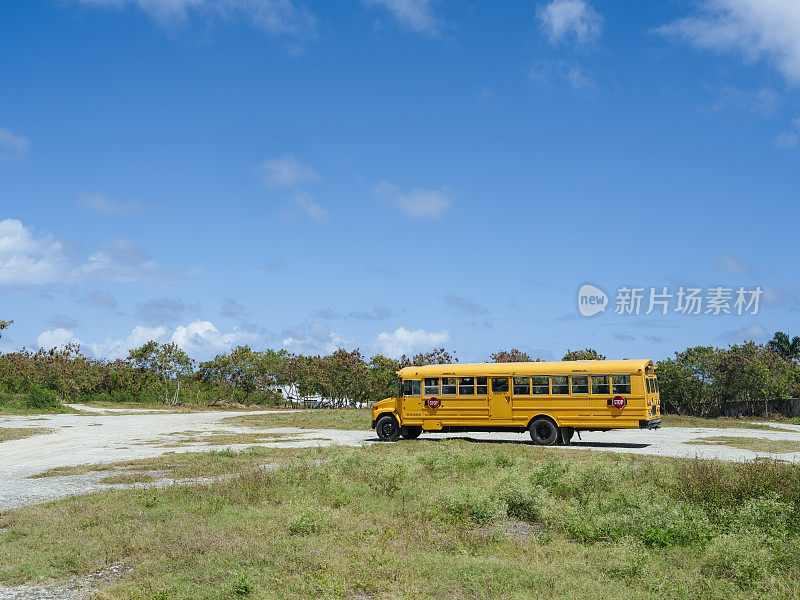 黄色巴士停在多米尼加共和国的空地上