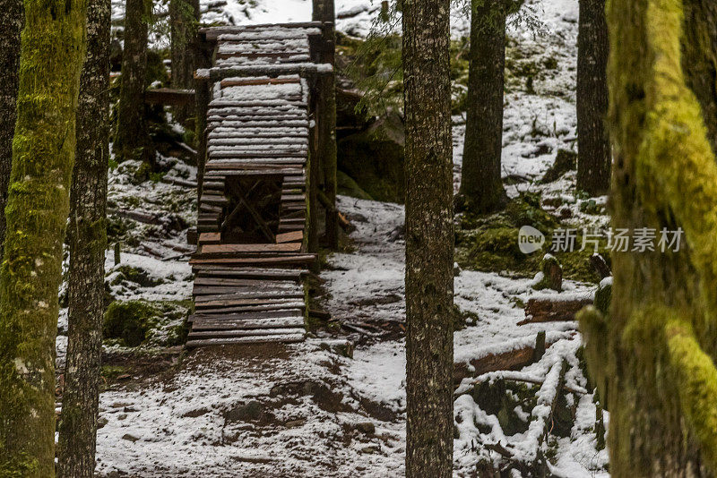 森林中雪山自行车道的风景