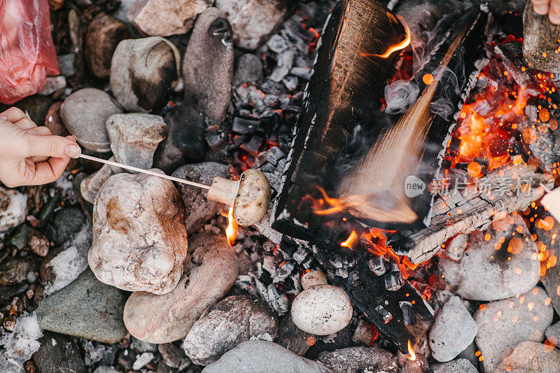 在营火上煮蘑菇