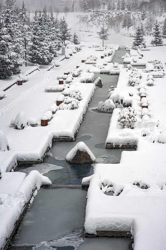 迪克门山谷里的雪树和池塘