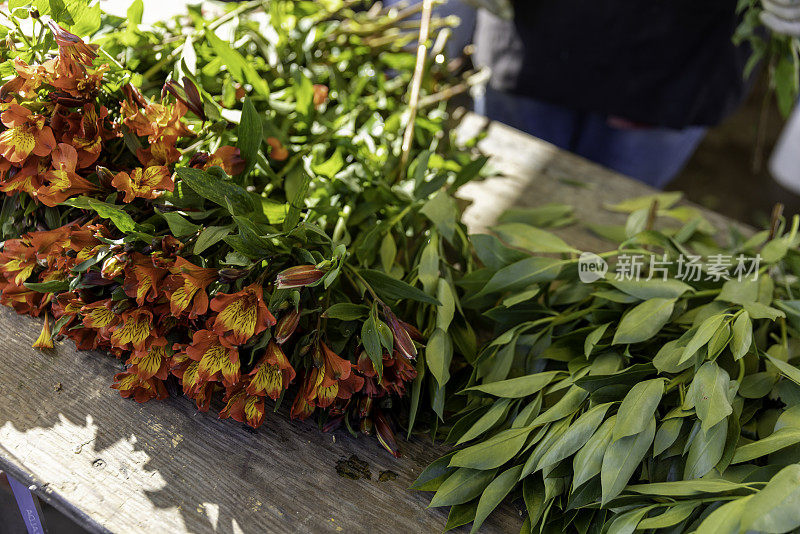 小型商业花店