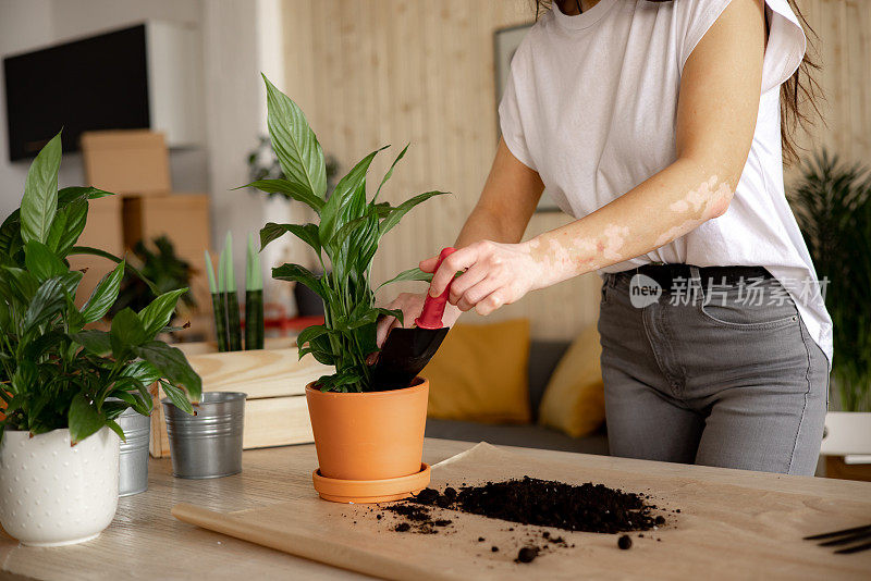 一个不知名的年轻白人妇女在家里照顾她的植物的特写