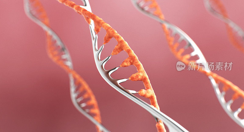 DNA概念3D插图
