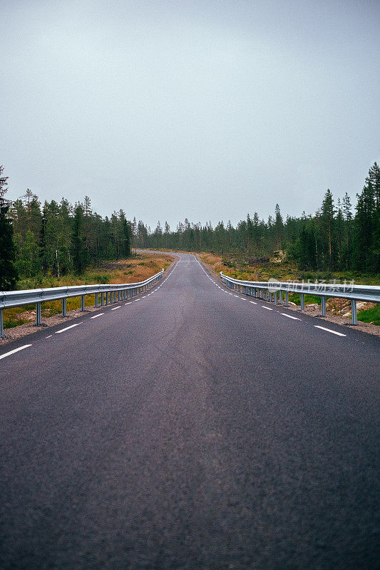 穿过挪威森林的新公路