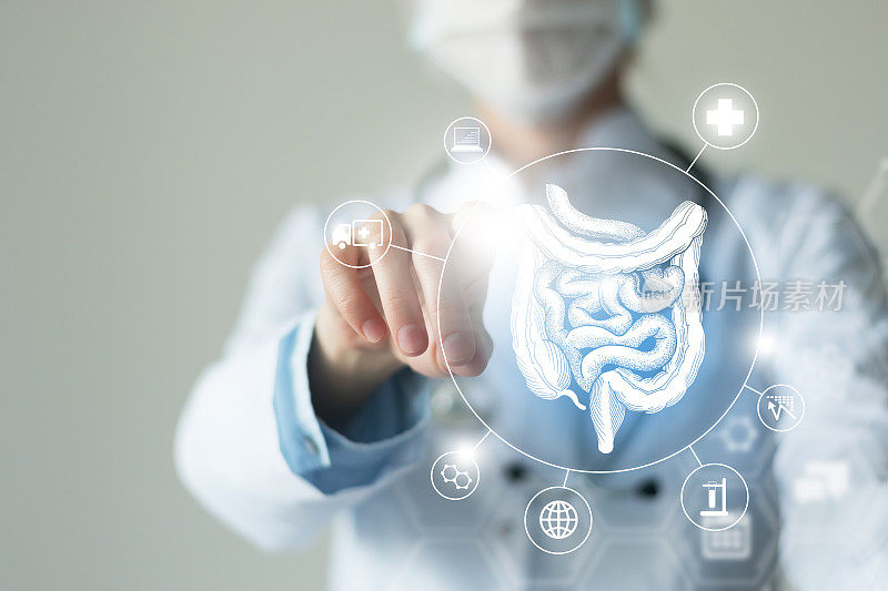 不明身份的女医生手持肠道器官的图形虚拟可视化模型。多个虚拟医学图标。