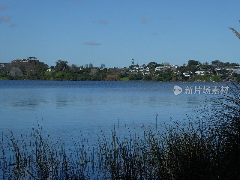 普普克湖，北岸，奥克兰。