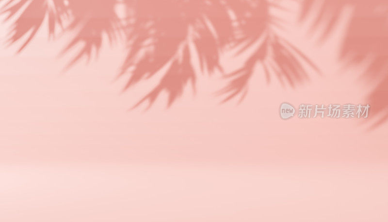 阴影热带树叶棕榈或蕨类在柔和的粉红色背景。时尚的设计风格。抽象背景纹理的阴影棕榈叶在混凝土墙上。本空间