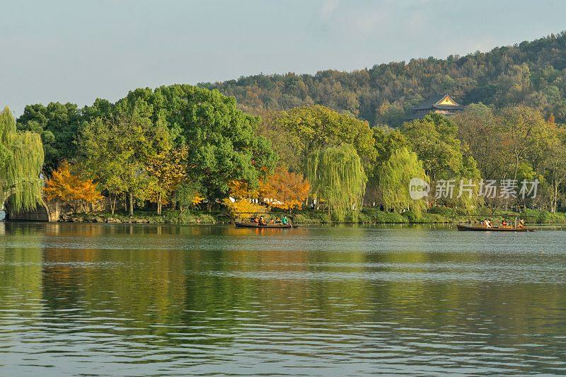 中国杭州西湖岸边五颜六色的秋天枫树
