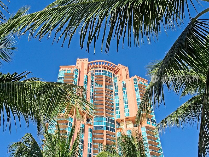 透过棕榈叶仰望迈阿密海滩的公寓大厦