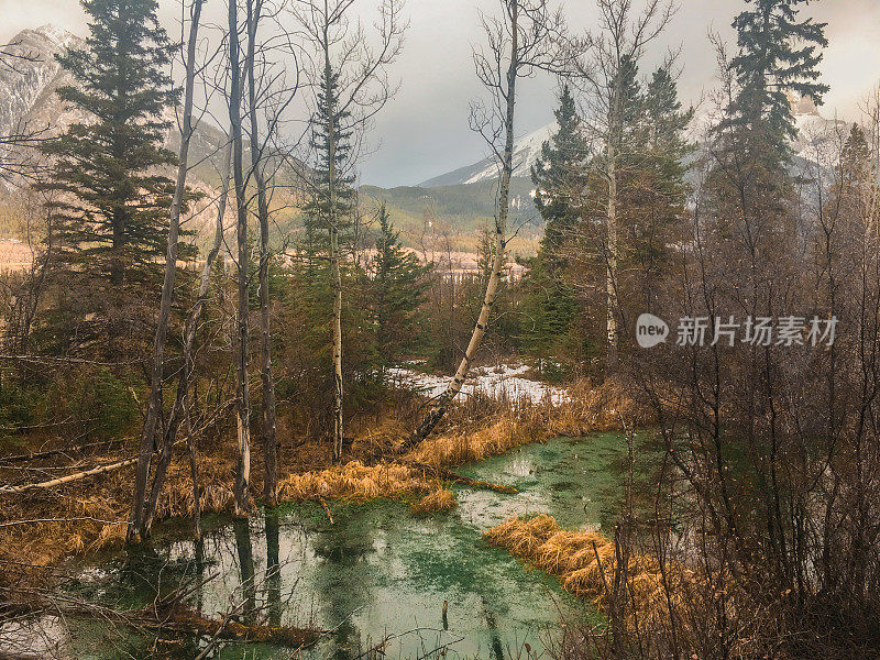 沼泽水域班夫