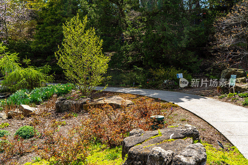 皇家植物园-岩石花园，汉密尔顿，加拿大