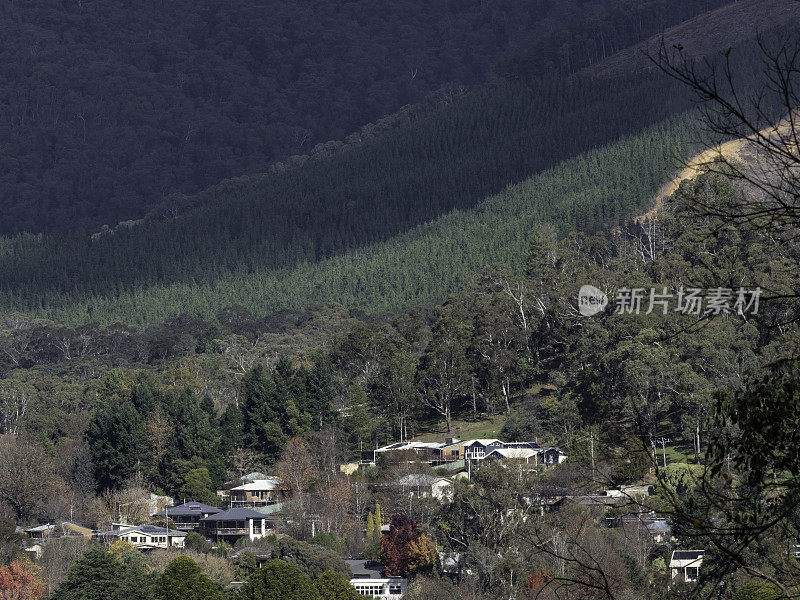 山谷中的乡村社区